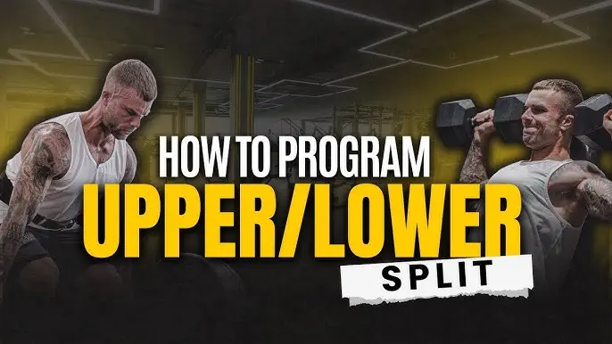 نظام Upper / Lower: الدليل الشامل لبناء العضلات مع جدول تمارين 4 أيام